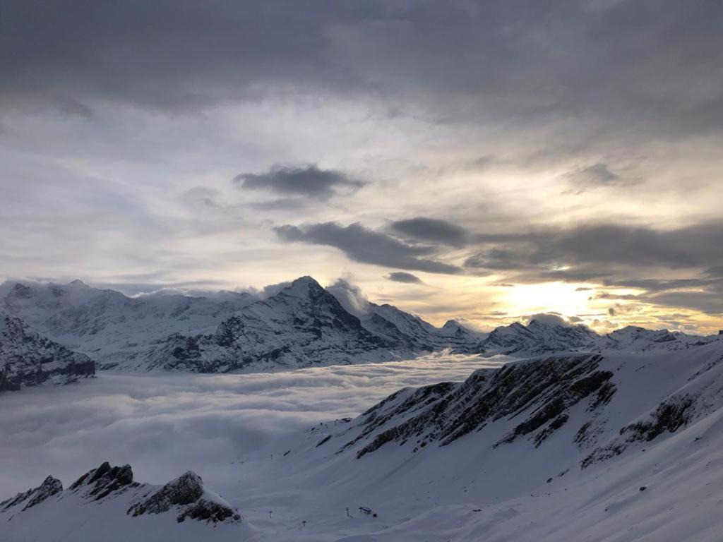 Chalet Caramelle Grindelwald Ngoại thất bức ảnh
