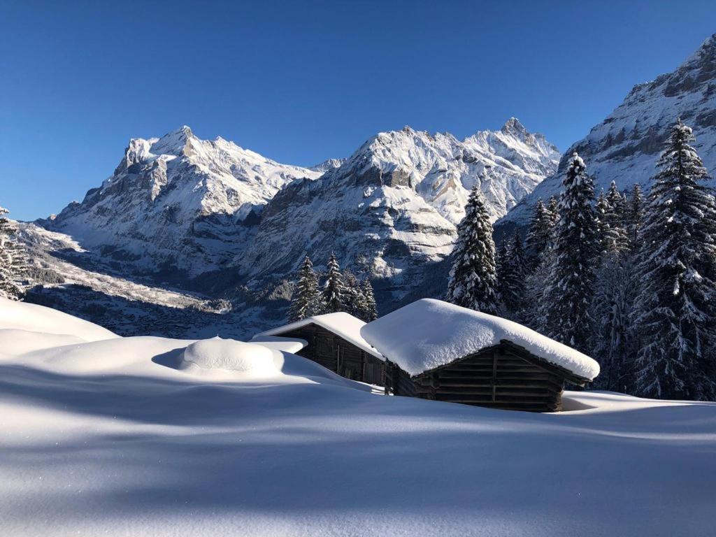 Chalet Caramelle Grindelwald Ngoại thất bức ảnh
