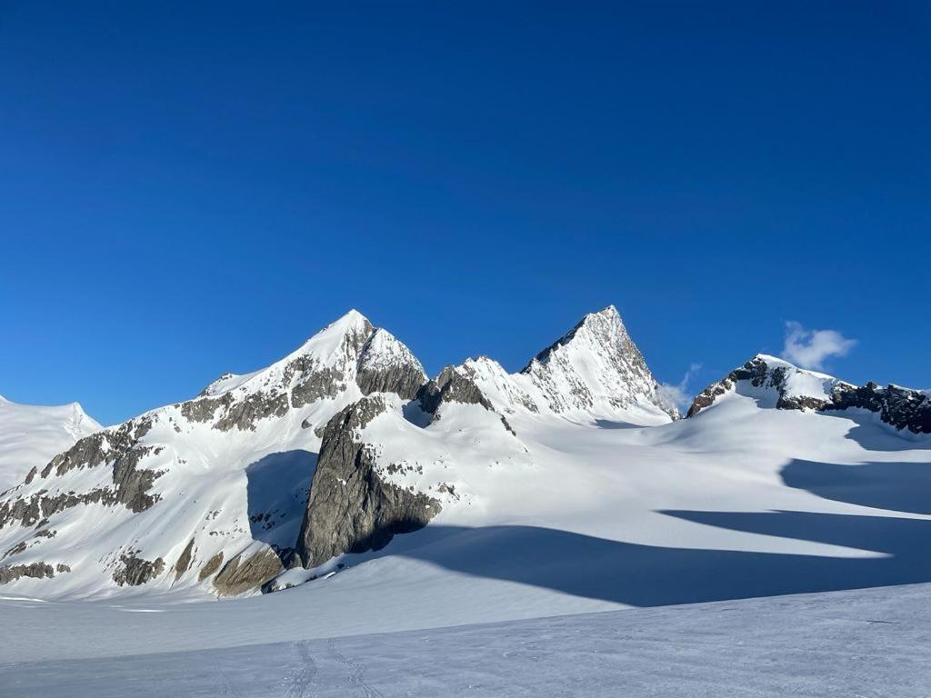 Chalet Caramelle Grindelwald Ngoại thất bức ảnh